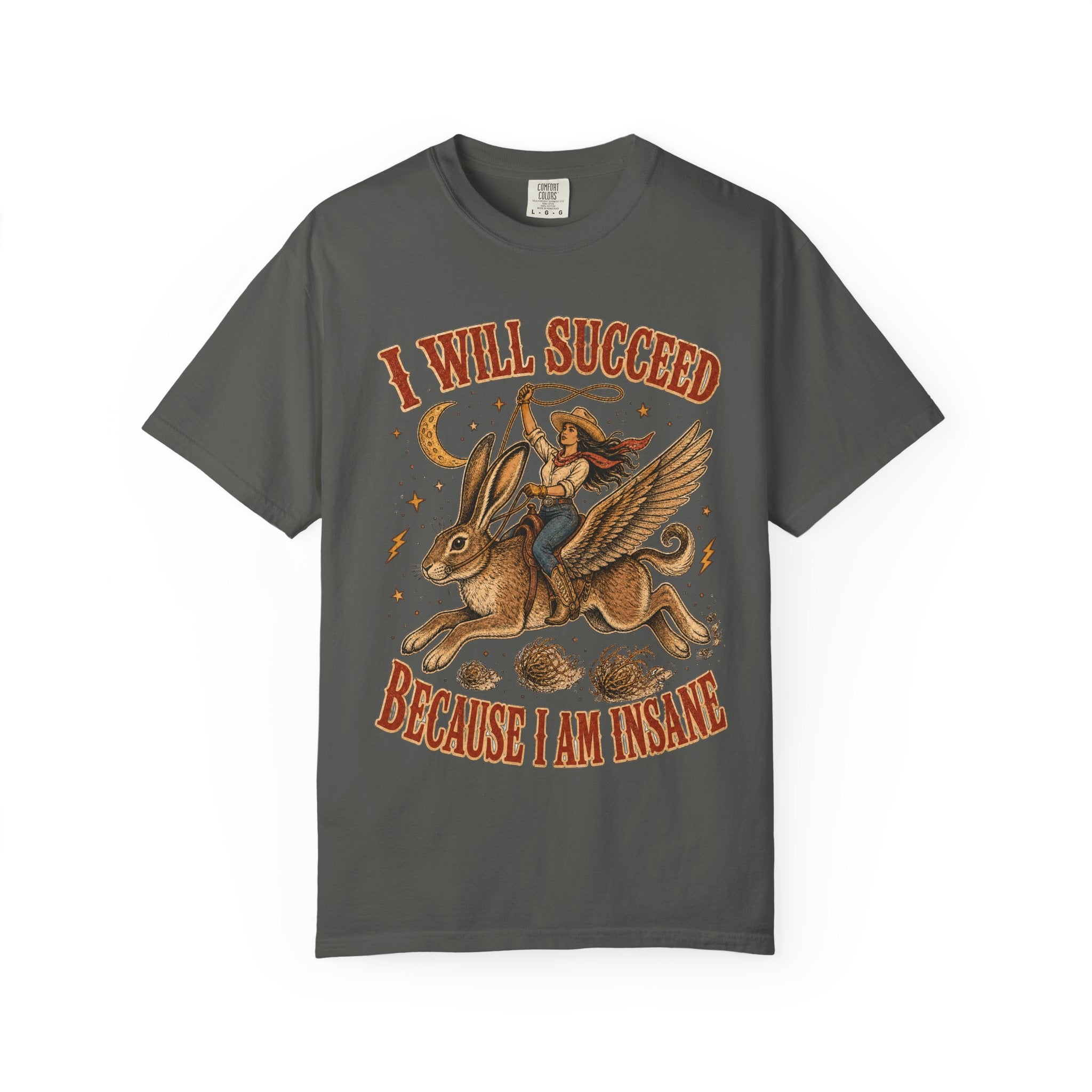 I Will Succeed Because I Am Insane T-Shirt — Vintage Psychedelic Rider on Winged Rabbit Graphic Tee